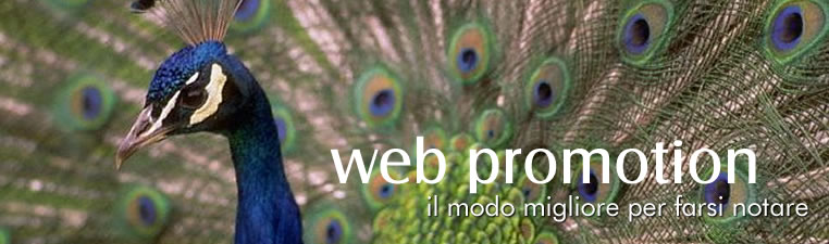 Sviluppo Web - Web Content Management - Applicativi web personalizzati - Servizio di promozione web - Servizi di Posizionamento e Indicizzazione - Reti e Sicurezza - Fornitura Hardware e software - Assistenza Tecnica Specializzata - Realizzazione portali - Spazi web di promozione - E-commerce - E-payments
