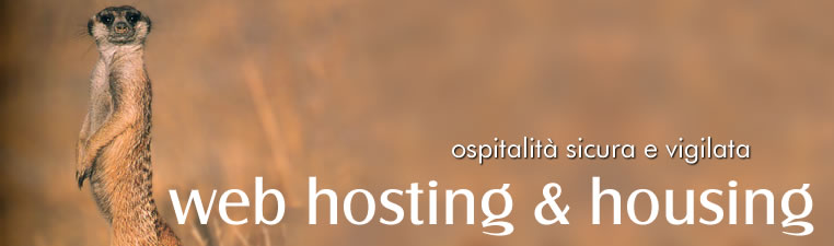 Sviluppo Web - Web Content Management - Applicativi web personalizzati - Servizio di promozione web - Servizi di Posizionamento e Indicizzazione - Reti e Sicurezza - Fornitura Hardware e software - Assistenza Tecnica Specializzata - Realizzazione portali - Spazi web di promozione - E-commerce - E-payments