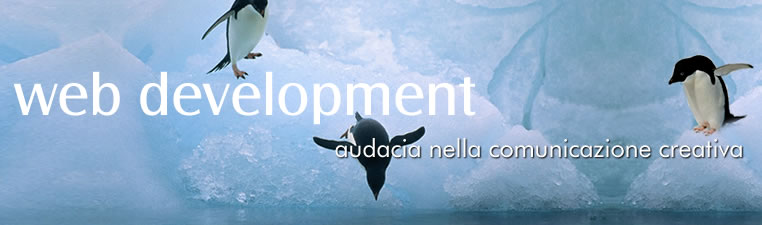Sviluppo Web - Web Content Management - Applicativi web personalizzati - Servizio di promozione web - Servizi di Posizionamento e Indicizzazione - Reti e Sicurezza - Fornitura Hardware e software - Assistenza Tecnica Specializzata - Realizzazione portali - Spazi web di promozione - E-commerce - E-payments