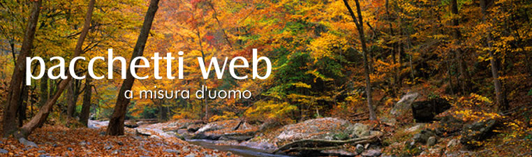 Sviluppo applicativi web standard e personalizzati - WebBookingPass - WinBooking - Lista di Nozze ADV - WinHoliday - WinTradeShop - WinDoc - WinMailing - AWGC - PosVirtuale - Pagamenti Web - PosFacile - Lista di Nozze Shop - Wimmobiliare - WinGest - WinJob - WinPortal
