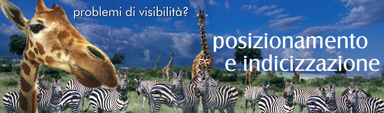 Sviluppo Web - Web Content Management - Applicativi web personalizzati - Servizio di promozione web - Servizi di Posizionamento e Indicizzazione - Reti e Sicurezza - Fornitura Hardware e software - Assistenza Tecnica Specializzata - Realizzazione portali - Spazi web di promozione - E-commerce - E-payments