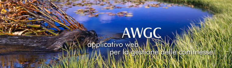 Sviluppo applicativi web standard e personalizzati - WebBookingPass - WinBooking - Lista di Nozze ADV - WinHoliday - WinTradeShop - WinDoc - WinMailing - AWGC - PosVirtuale - Pagamenti Web - PosFacile - Lista di Nozze Shop - Wimmobiliare - WinGest - WinJob - WinPortal