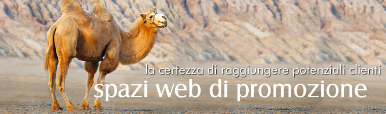 Sviluppo Web - Web Content Management - Applicativi web personalizzati - Servizio di promozione web - Servizi di Posizionamento e Indicizzazione - Reti e Sicurezza - Fornitura Hardware e software - Assistenza Tecnica Specializzata - Realizzazione portali - Spazi web di promozione - E-commerce - E-payments