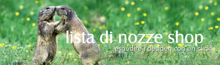 Sviluppo applicativi web standard e personalizzati - WebBookingPass - WinBooking - Lista di Nozze ADV - WinHoliday - WinTradeShop - WinDoc - WinMailing - AWGC - PosVirtuale - Pagamenti Web - PosFacile - Lista di Nozze Shop - Wimmobiliare - WinGest - WinJob - WinPortal