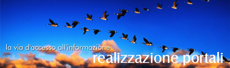 Sviluppo Web - Web Content Management - Applicativi web personalizzati - Servizio di promozione web - Servizi di Posizionamento e Indicizzazione - Reti e Sicurezza - Fornitura Hardware e software - Assistenza Tecnica Specializzata - Realizzazione portali - Spazi web di promozione - E-commerce - E-payments