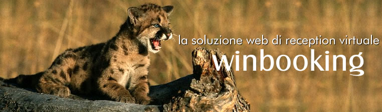 Sviluppo applicativi web standard e personalizzati - WebBookingPass - WinBooking - Lista di Nozze ADV - WinHoliday - WinTradeShop - WinDoc - WinMailing - AWGC - PosVirtuale - Pagamenti Web - PosFacile - Lista di Nozze Shop - Wimmobiliare - WinGest - WinJob - WinPortal