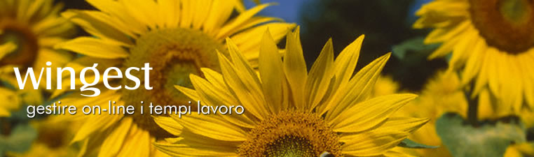 Sviluppo applicativi web standard e personalizzati - WebBookingPass - WinBooking - Lista di Nozze ADV - WinHoliday - WinTradeShop - WinDoc - WinMailing - AWGC - PosVirtuale - Pagamenti Web - PosFacile - Lista di Nozze Shop - Wimmobiliare - WinGest - WinJob - WinPortal