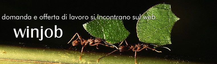 Sviluppo applicativi web standard e personalizzati - WebBookingPass - WinBooking - Lista di Nozze ADV - WinHoliday - WinTradeShop - WinDoc - WinMailing - AWGC - PosVirtuale - Pagamenti Web - PosFacile - Lista di Nozze Shop - Wimmobiliare - WinGest - WinJob - WinPortal