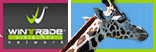 webagency verona